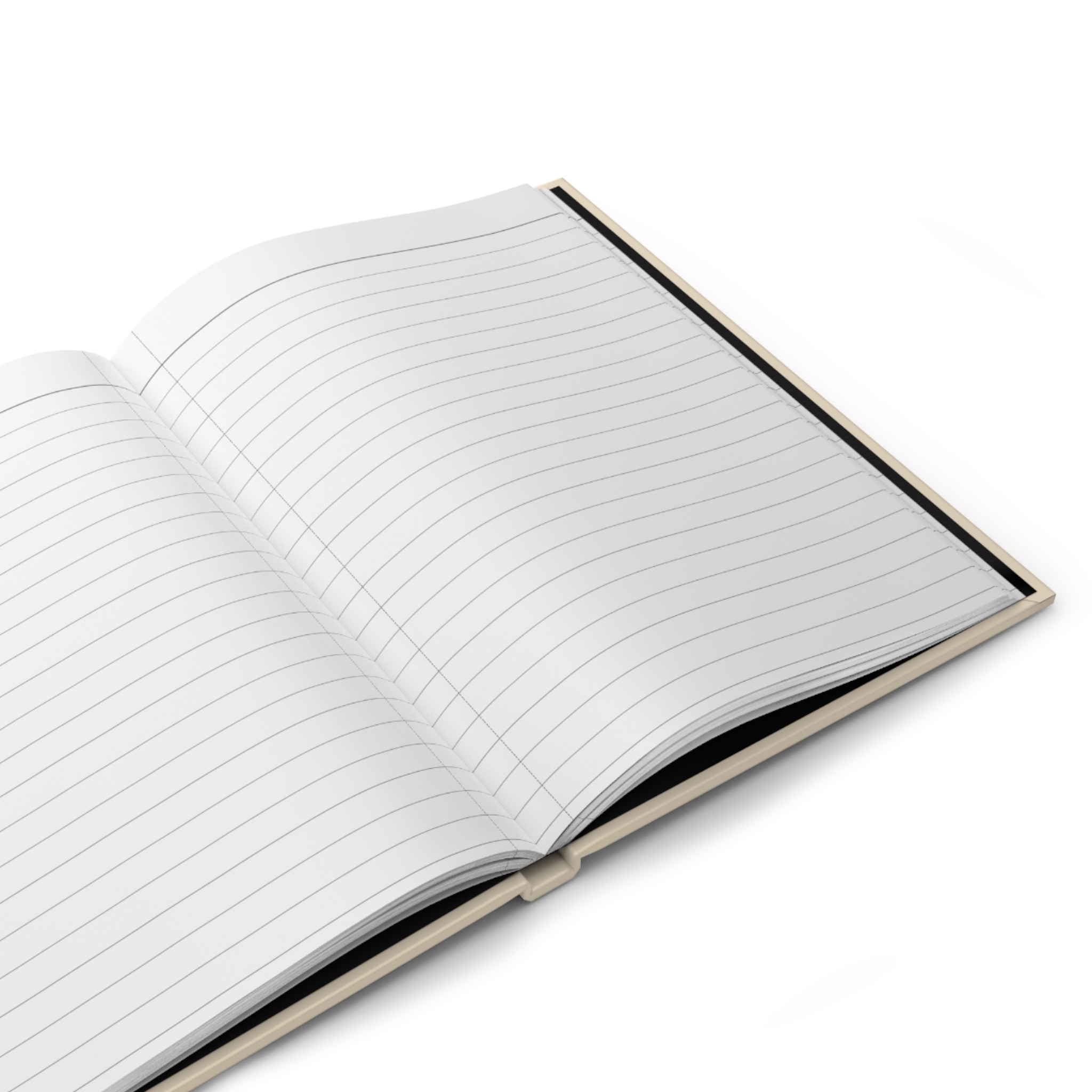 Founding Member — Accusations, Journal - Image 5